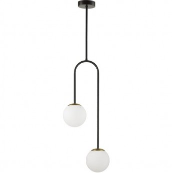 Потолочный светильник LUMION DEXTER 6500/2C Потолочный светильник LUMION DEXTER 6500/2C